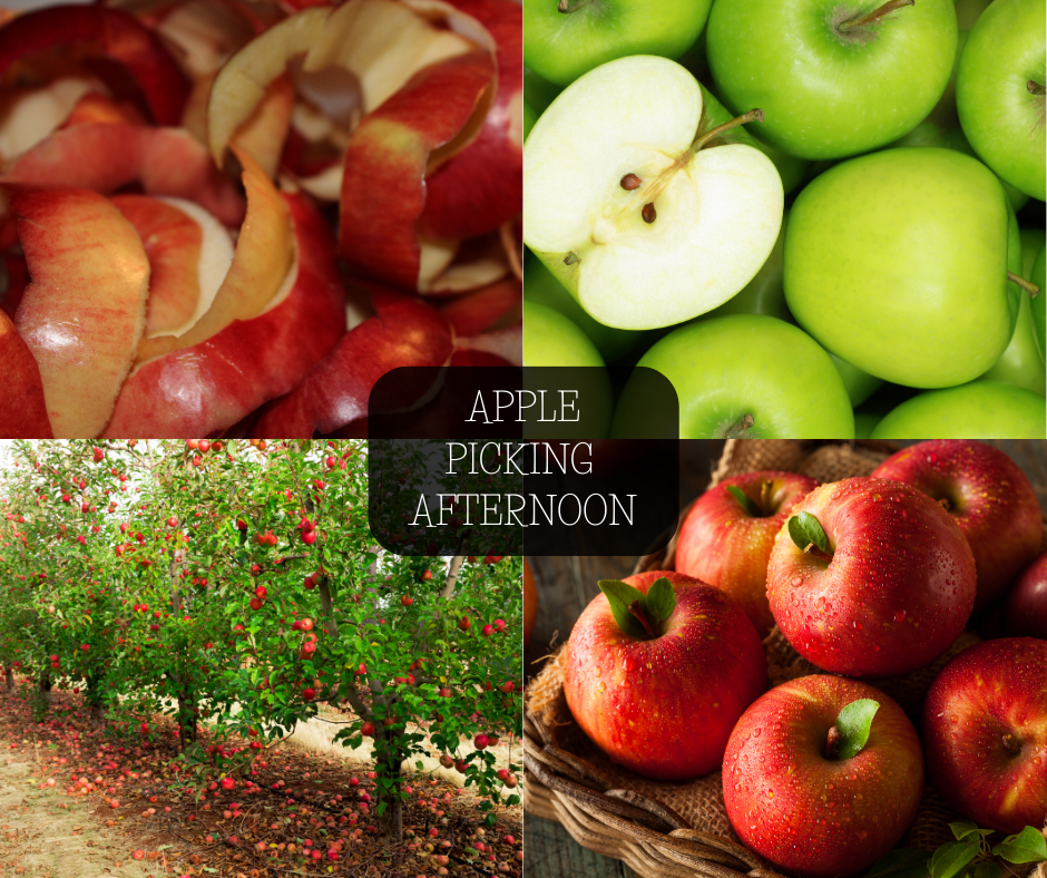 APPLE PICKING AFTERNOON SOY WAX MELTS