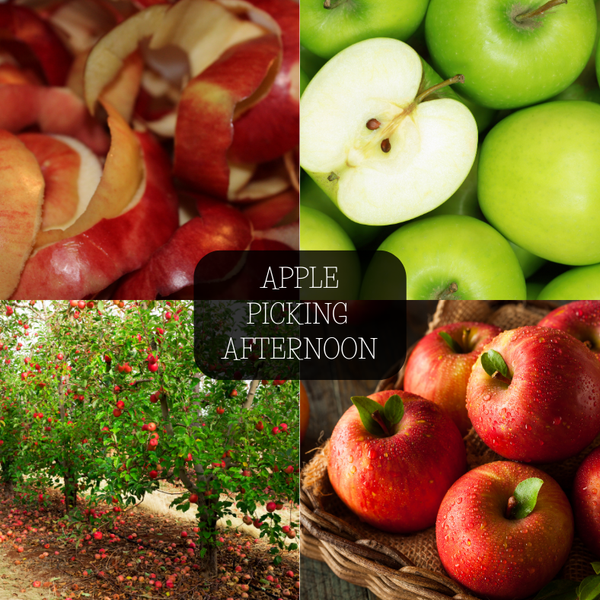 APPLE PICKING AFTERNOON SOY WAX MELTS