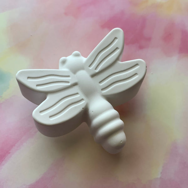 PAINT YOUR OWN DRAGONFLY CERAMIC KIT, DIY POTTERY PAINTING ACTIVITY FOR KIDS AND ADULTS