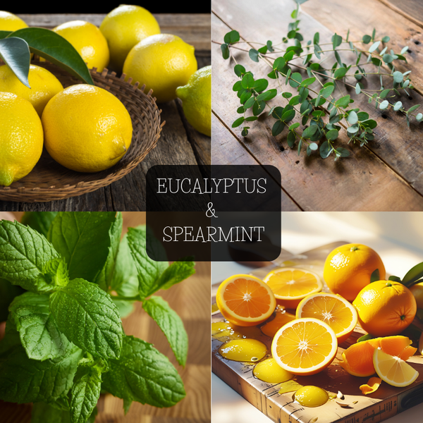 EUCALYPTUS AND SPEARMINT SOY WAX MELTS