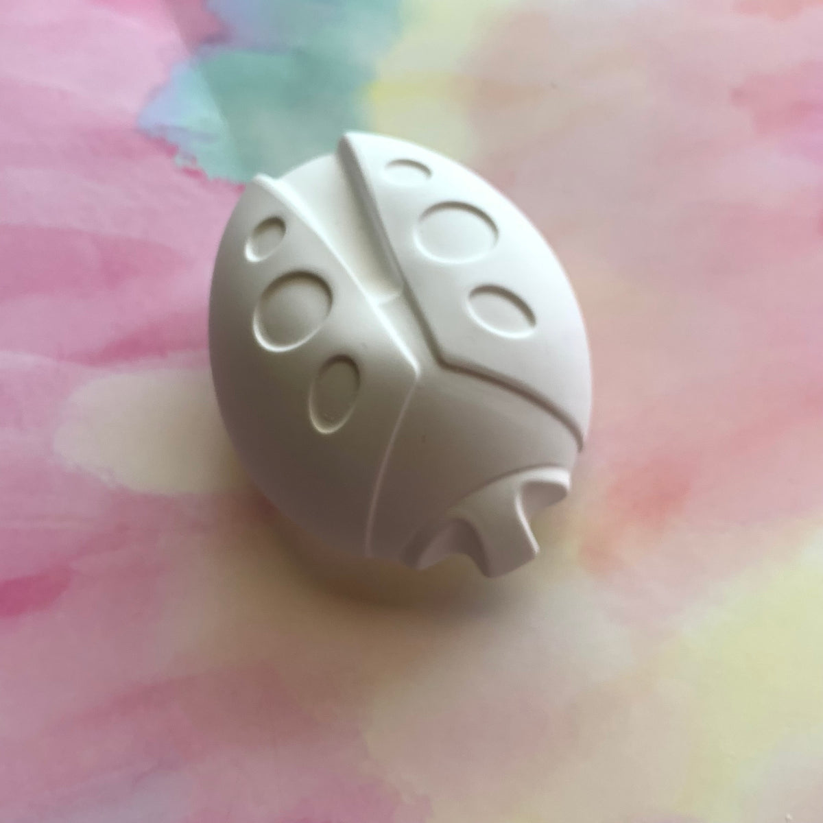 PAINT YOUR OWN LADYBUG CERAMIC- RESIN KIT, DIY PAINTING ACTIVITY FOR KIDS AND ADULTS