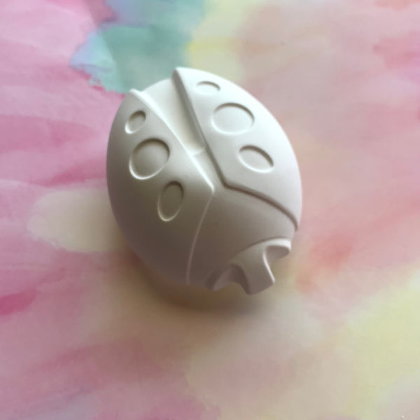 PAINT YOUR OWN LADYBUG CERAMIC KIT, DIY POTTERY PAINTING ACTIVITY FOR KIDS AND ADULTS