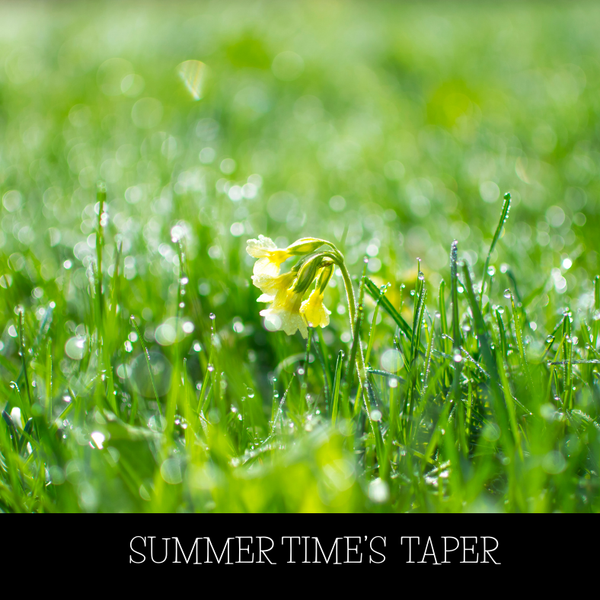 SUMMERTIME'S TAPER SOY WAX MELT